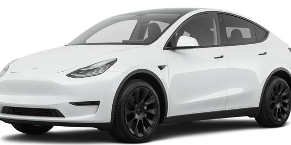 TESLA MODEL Y 2021 5YJYGDEE4MF196106 image